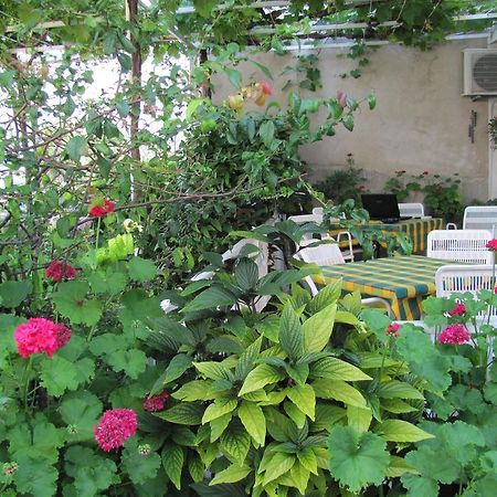 Guesthouse Marija Cavtat Pokój zdjęcie